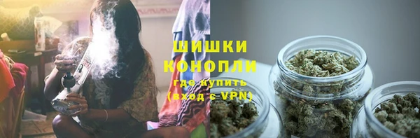 трава Арсеньев