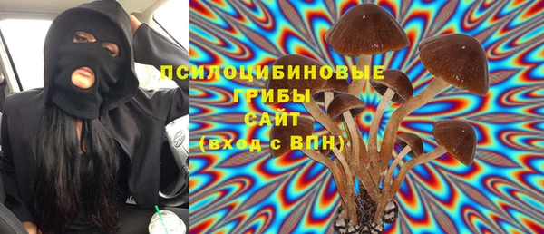 трава Арсеньев