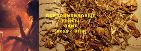 гидропоника Аркадак